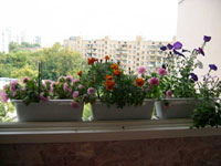 Балконы